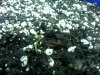 20130616_182355.jpg 20130616_182355.jpg
