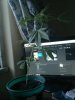 2013-06-17-1058.jpg