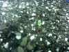 20130617_201940.jpg 20130617_201940.jpg