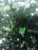 20130617_201854.jpg