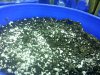 20130617_202014.jpg 20130617_202014.jpg