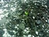 20130617_202022.jpg 20130617_202022.jpg