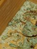 contam3.JPG