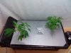 DSC00066.jpg