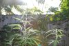 DSC_0269.jpg