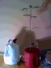 10-20-08_1521.jpg