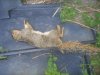 20130619_184228.jpg
