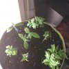 2013-06-20-222042.jpg 2013-06-20-222042.jpg