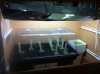 clones3.JPG