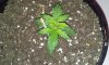 20130622_103429.jpg 20130622_103429.jpg