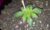 20130622_103519.jpg 20130622_103519.jpg