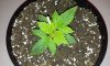 20130622_103547.jpg 20130622_103547.jpg