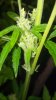 2013-06-22_03-13-18_502.jpg