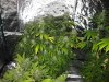 IMG_1113.jpg