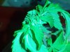 IMG_20130622_191035.jpg