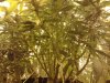 20130622_194204.jpg