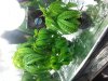 20130623_142706.jpg