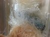 20130623_142834.jpg