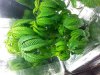 20130623_142902.jpg