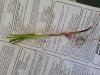 20130531_112052.jpg