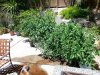 20130531_133409.jpg