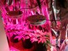 20130613_204722.jpg