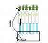 PVC GROW.jpg