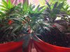 2013-06-26 06.05.04.jpg
