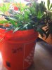 2013-06-26 06.06.31.jpg