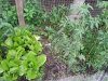 20130626_153604.jpg 20130626_153604.jpg