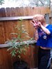 20130618_164903.jpg