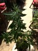 image_23.jpeg