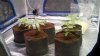 2013-06-27_17-40-29_220.jpg