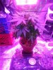 20130626_184535.jpg