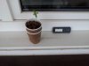 20130628_171424.jpg