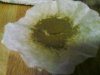 151 filter7.jpg