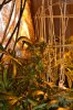 DSC_0216.jpg DSC_0216.jpg