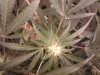 20130701_080349.jpg