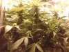 20130701_080208.jpg