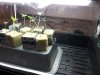 20130701_145943.jpg