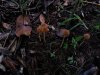 20130701_200011.jpg