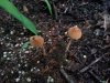 20130701_194738.jpg