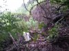 20130701_200153.jpg