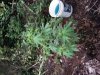 20130701_195942.jpg