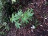 20130701_195936.jpg