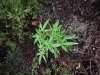 20130701_194241.jpg
