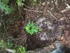 20130701_194142.jpg
