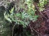 20130701_194134.jpg