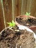 20130701_151706.jpg