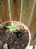 20130701_151709.jpg